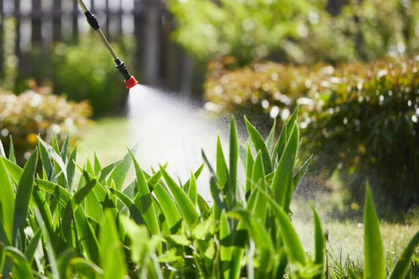 24/7 Emergency Cockroach Control experts in York, NE