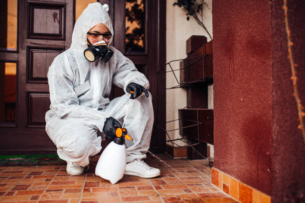 Reliable Cockroach Control contractor in York, NE by Nex Pest Control