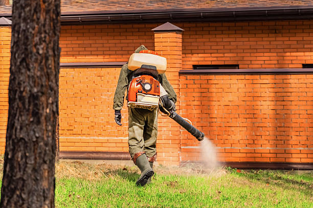 Top rated local Cockroach Control specialists in York, NE